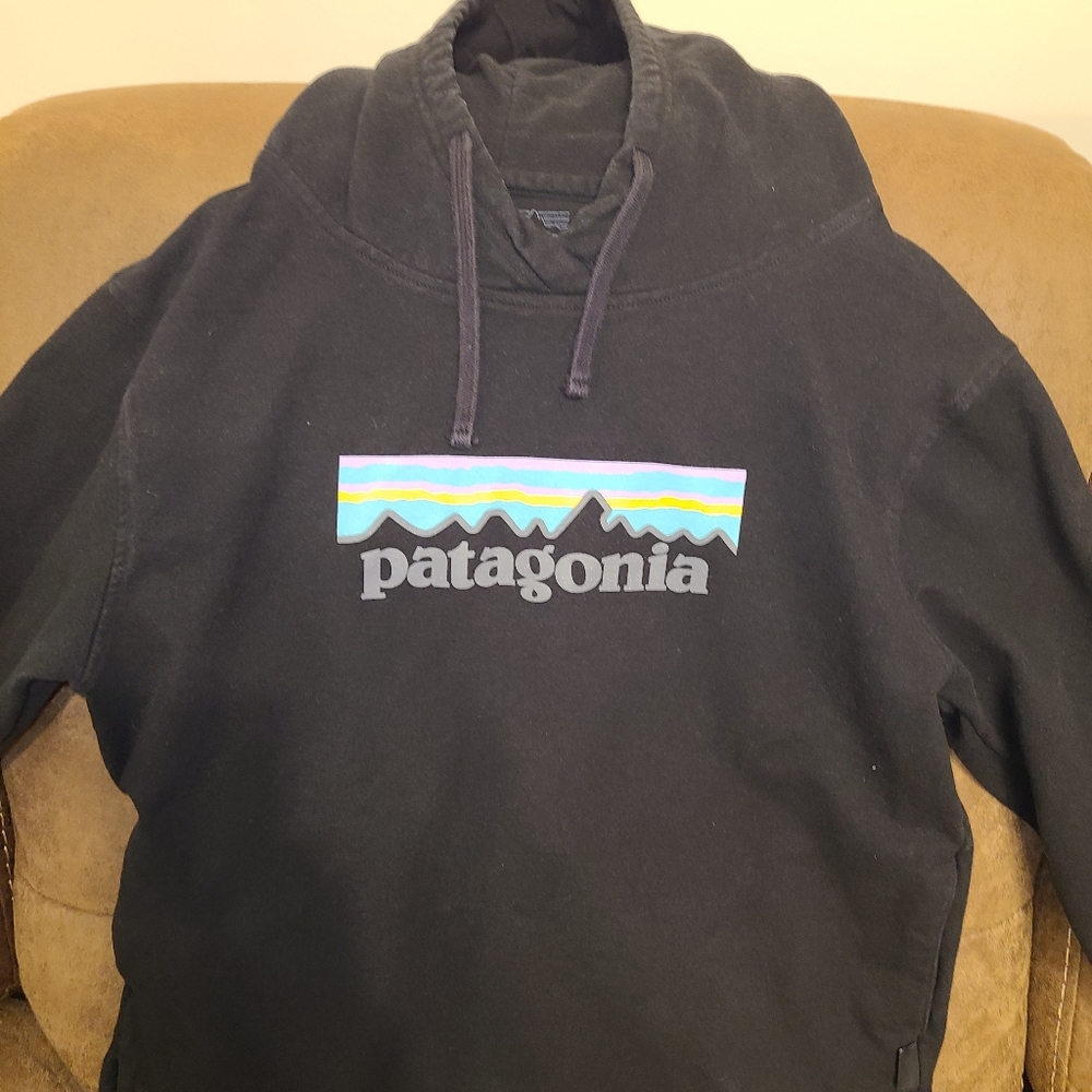 Patagonia Hoodie